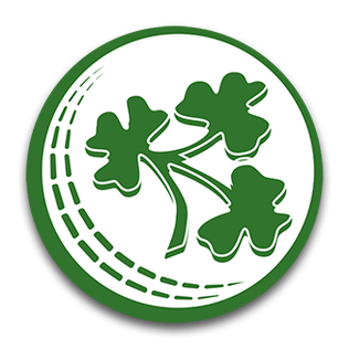 team_logo